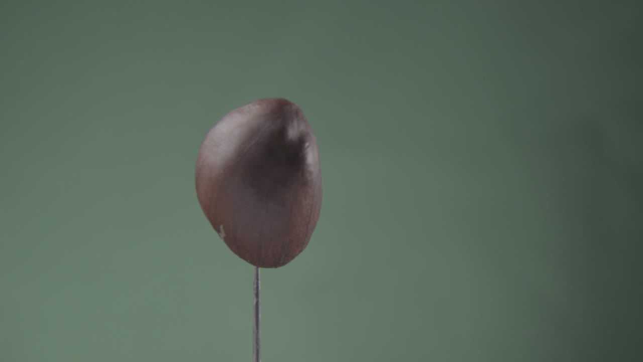 Peanut rotating with loop on green screen for chroma key