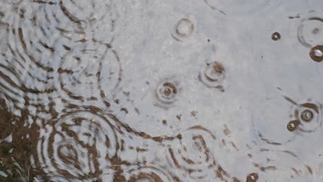 ¿gotas-De-Lluvia?-Cayendo-En-El-Charco-En-El-Suelo