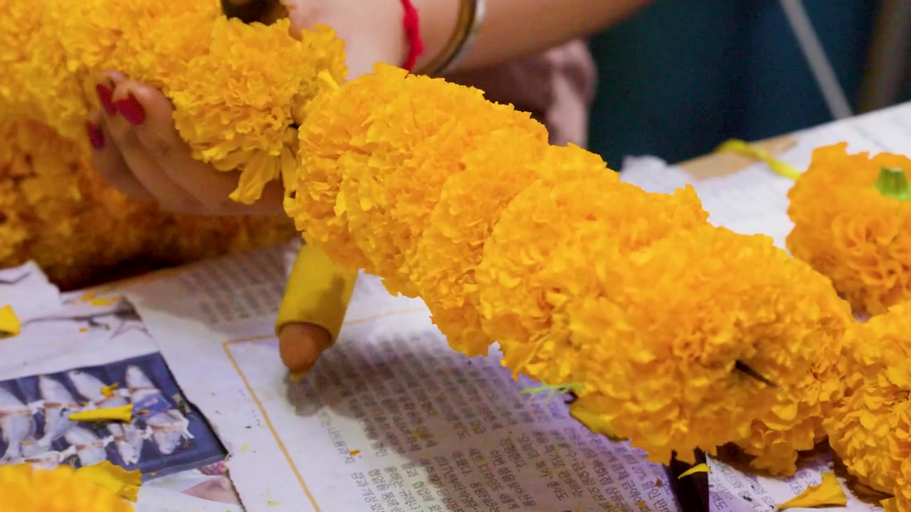 Primo piano di mani che infilano fiori di calendula gialli su una ghirlanda tradizionale a Bangkok, Thailandia.