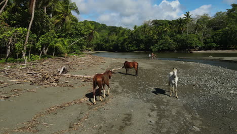 tranquil riverbank scene featuring equines and scattered driftwood.