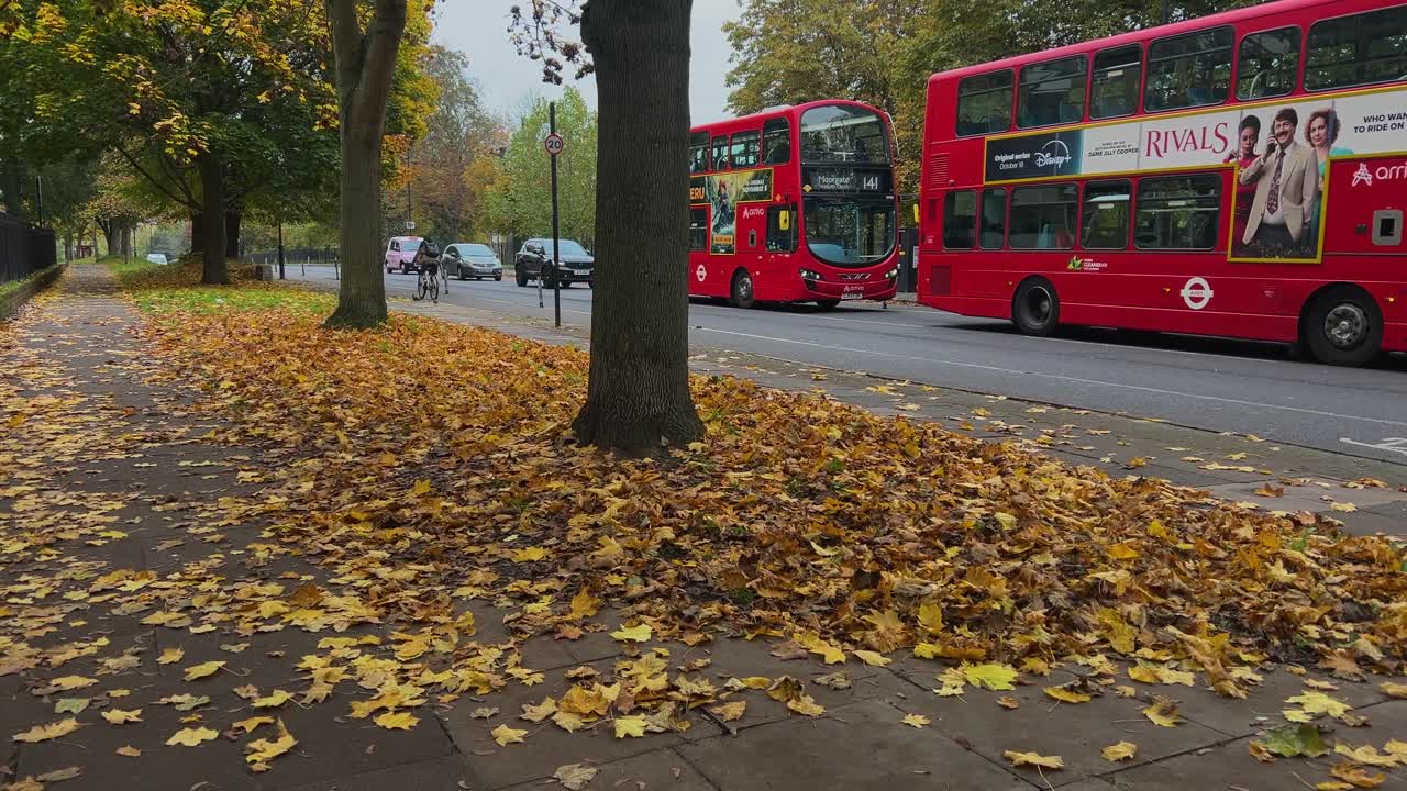 Handheld shot of London cyclists and red double-decker buses move down a bustling autumn street, lined with trees displaying vibrant fall colours.