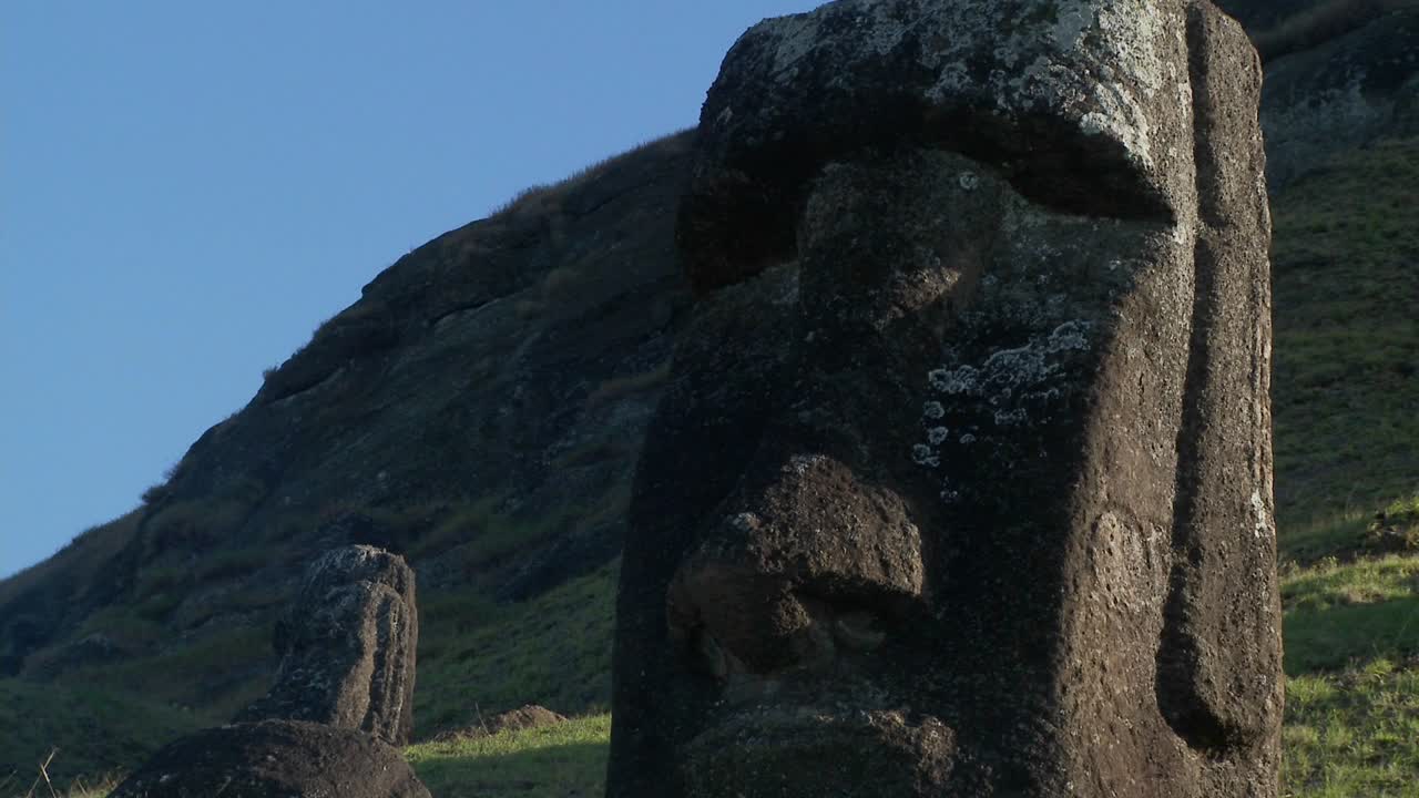 caras gigantes talladas a medias se paran en la cantera en la isla de pascua