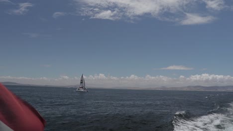 a shot of a south african flag waving in the wind behind a catamaran