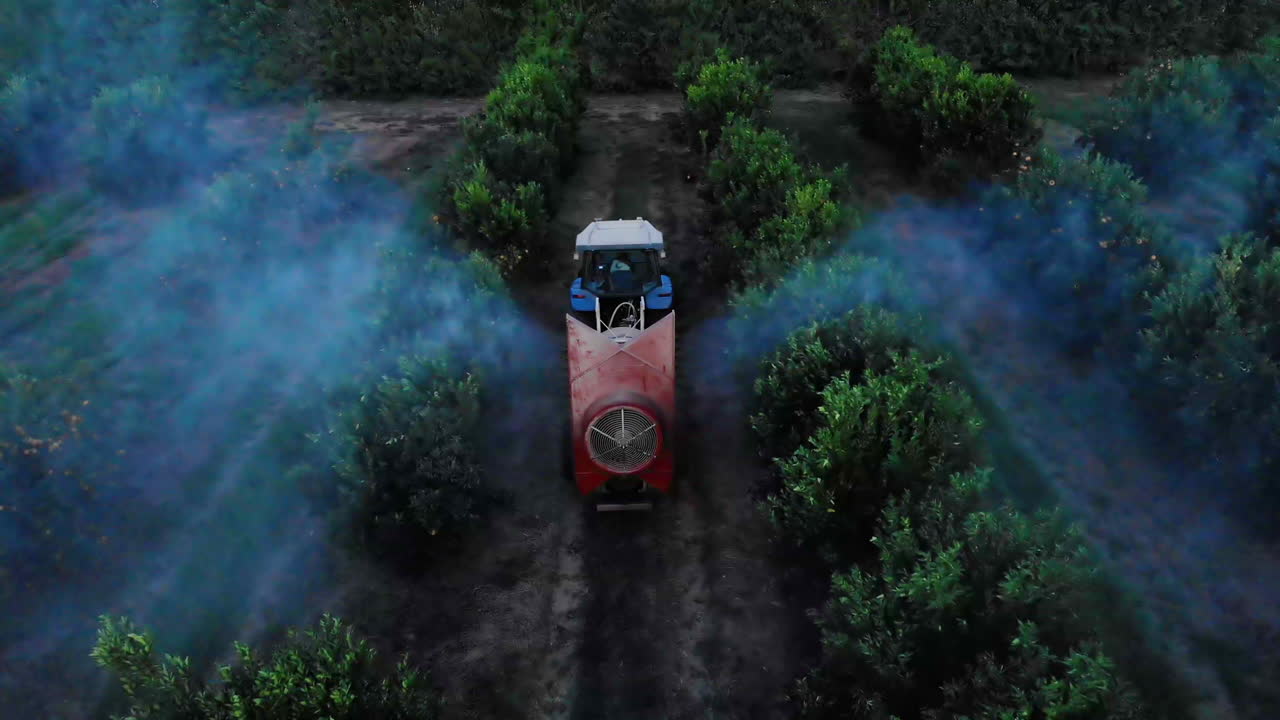 Agricultural tractor spraying herbicide on orange plantation in Brazil