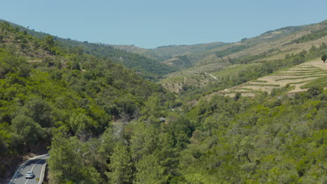 un hermoso paisaje de plantaciones de vino