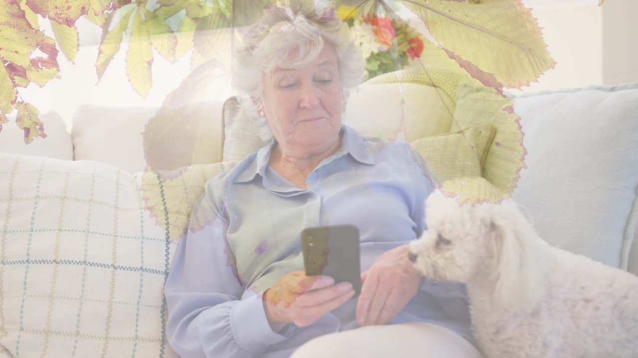 스마트 폰을 사용 하 고 그녀의 개와 놀고 있는 백인 고령 여성에 대 한 나무 가지에 잎