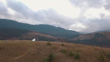 Encantadores-Novios-Recién-Casados-Bailando-En-La-Ladera-De-La-Montaña-Otoñal,-Familia-De-Pareja-De-Novios,-Vista-Aérea