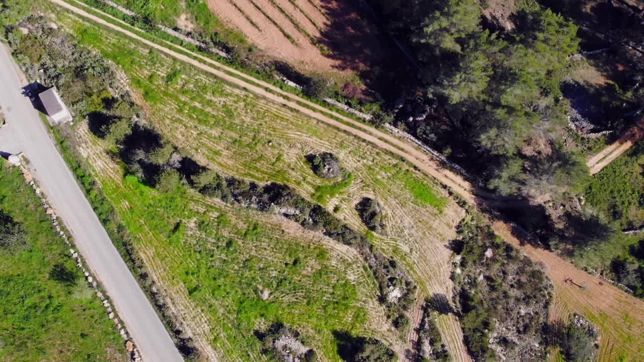 drone disparado mirando hacia abajo sobre los campos de ibiza