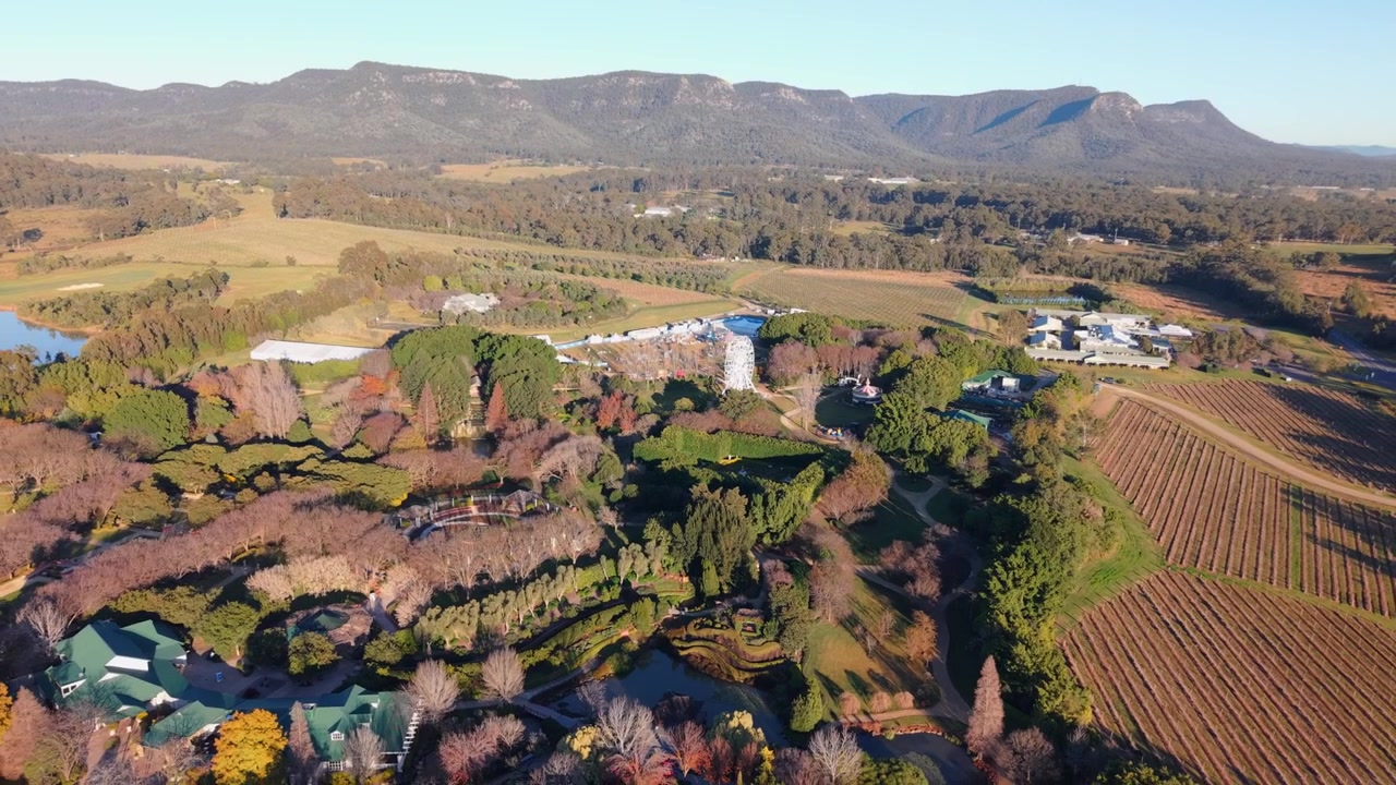 Cofające się ujęcie z drona nad ogrodami Hunter Valley z winnicami i górami o wschodzie słońca, ujęcie wprowadzające z drona, Nowa Południowa Walia, Australia
