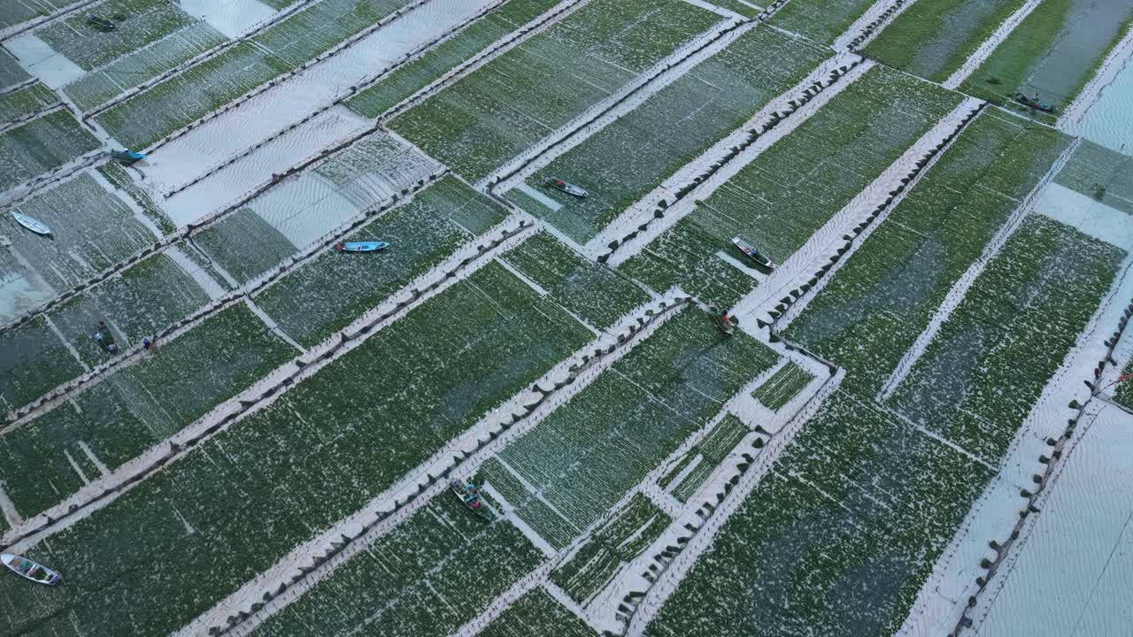 ヌサレンボンガン、バリ島の海藻養殖場の空撮
