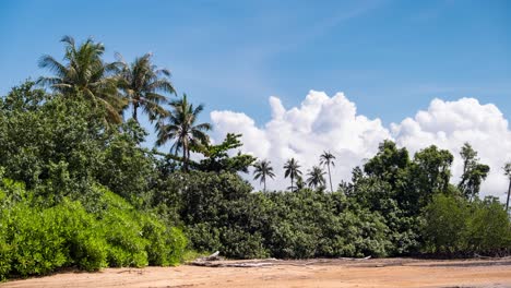 Zeitraffer-Der-Malerischen-Strandpromenade-Mit-Palmen-Und-Wolken,-Die-Sich-Im-Hintergrund-Bilden