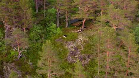 Male-Hiker-Hammock-Camping-With-Dog-Companion-In-The-Mountain-Forest