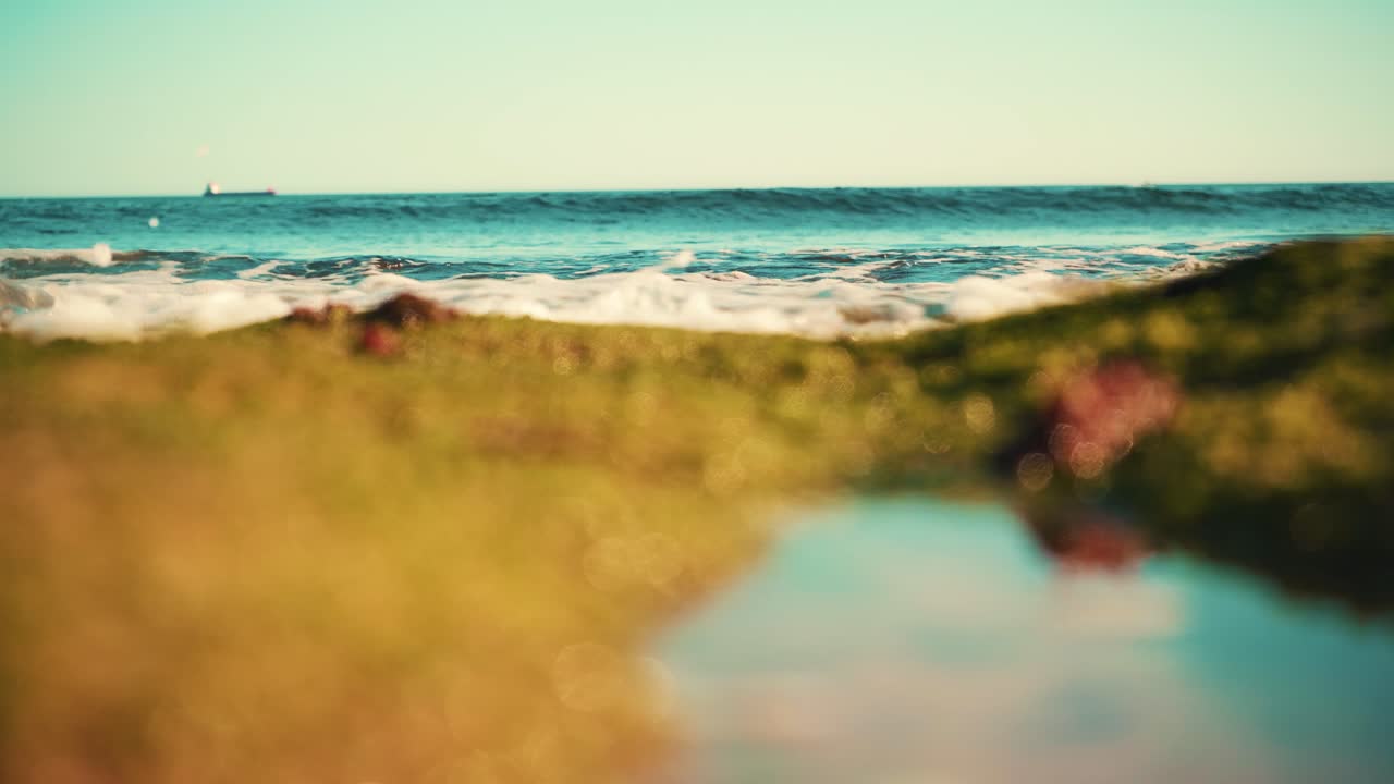 화물선이 멀리 있는 바다 해안선, 파도가 모래와 해초를 치고 일몰 클로즈업 4k 16:9에서 초점이 맞지 않음