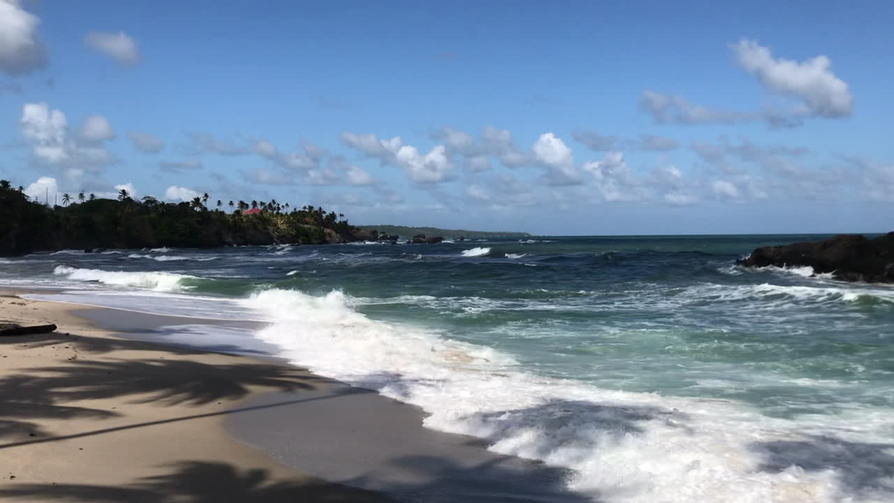 mares agitados, ondas a bater numa praia vazia com cocos.