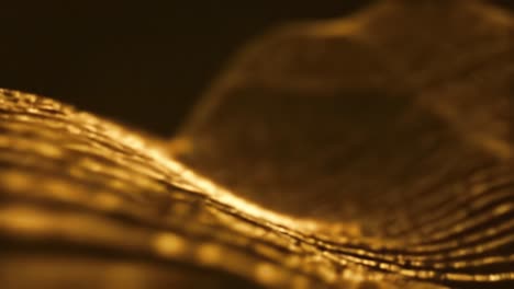 this captivating display showcases the intricate patterns of light reflecting off surfaces, creating a warm golden ambiance during twilight hours. the visuals evoke a sense of tranquility and wonder.