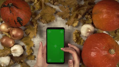 young lady taps on a chroma key smartphone in vertical orientation among autumn composition