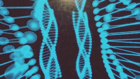 Human-genome-rotating-animation-of-DNA-helix,-deoxyribonucleic-acid,-concept-of-human-genes-cloning