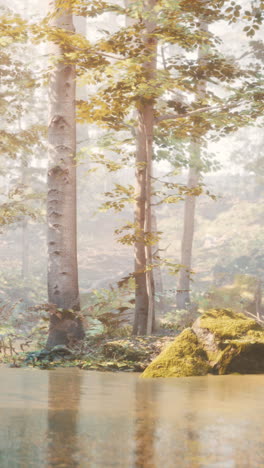 misty forest river scene