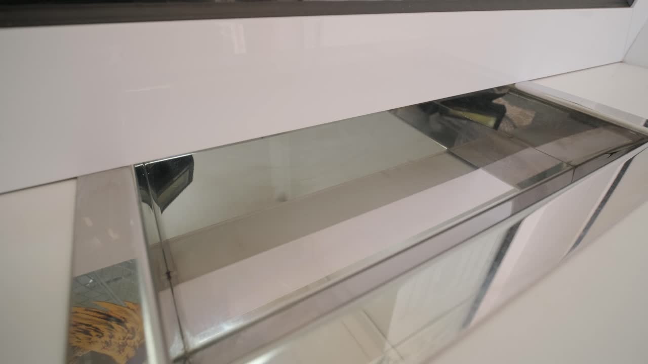 entrega de billetes a la caja registradora para su cambio