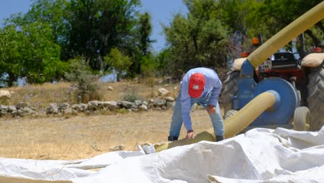 Trabajador-Pulverizador-De-Heno