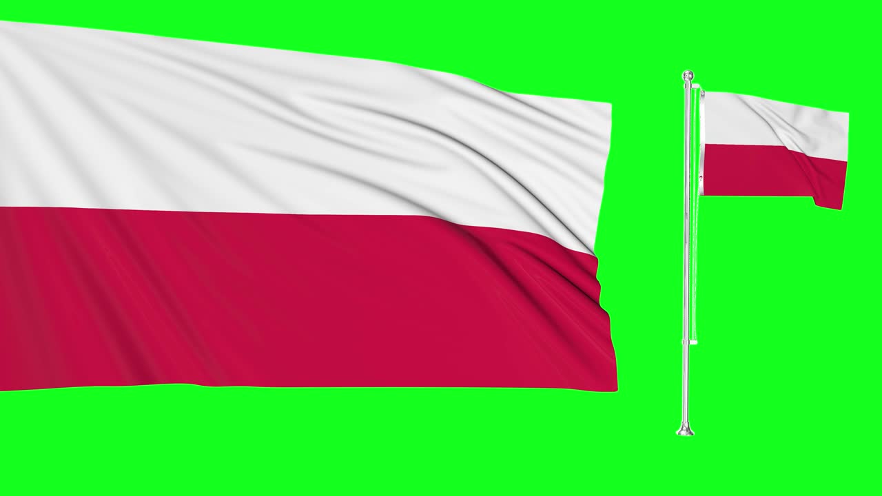 녹색 스크린 폴란드 두 발 폴란드 발 기둥 애니메이션 3d 크로마 키