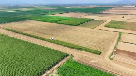 Sammeln-Von-Produkten-Zur-Herstellung-Von-Silage