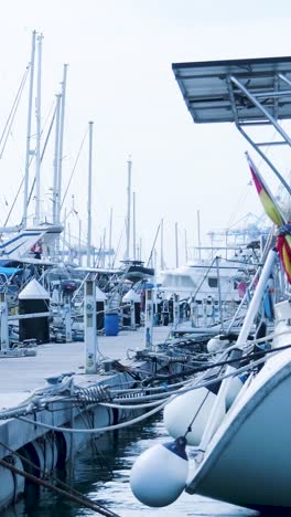 barcos en un puerto deportivo