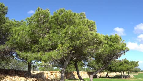 Video-De-Malta,-área-De-Selmun-En-Un-Soleado-Día-De-Otoño