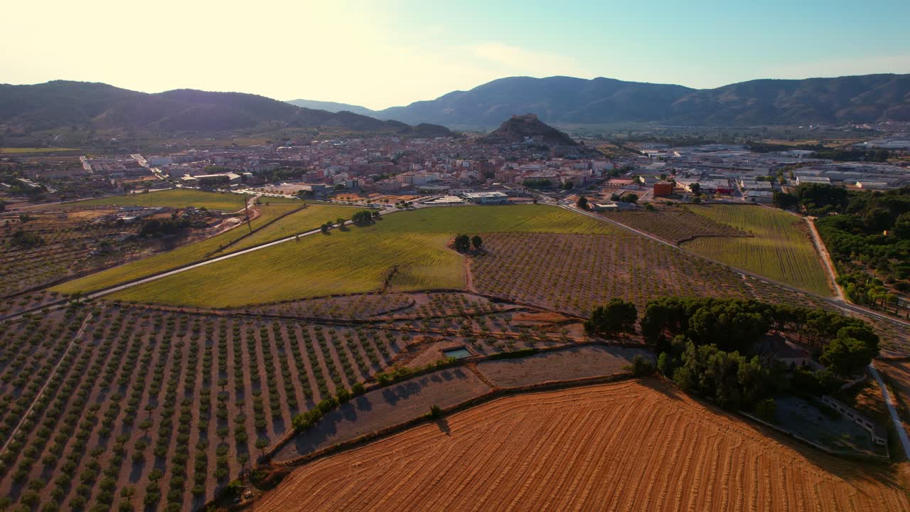 Drone vola sopra campi di girasoli a Castalla, Alicante, Spagna.
