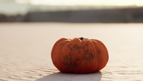 Calabaza-De-Halloween-En-Las-Dunas-De-La-Playa