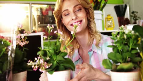 female florist arranging pot plant in flower shop