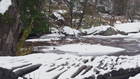 a beautiful nature video of a frozen river, snow and fallen brown leaves in the mountains, during winter