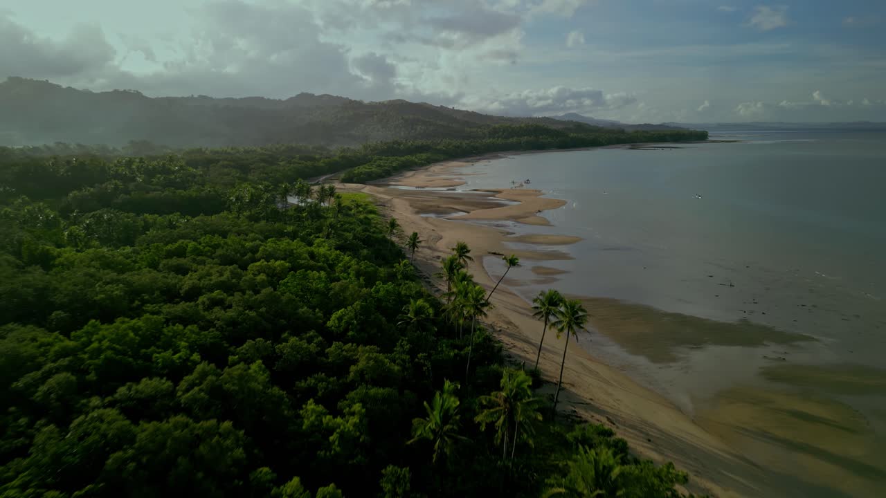 Aerial View of a Tropical Beach and Lush Green Coastline