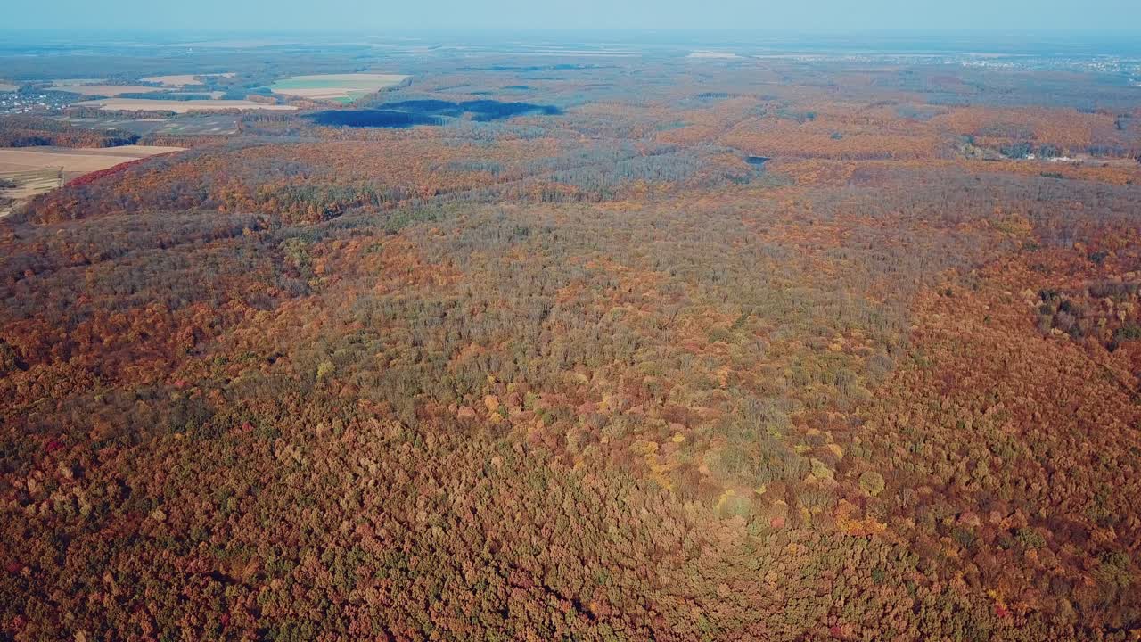 autumn forest landscape from a height. Beauty of nature. Aerial view. Camera motion forward