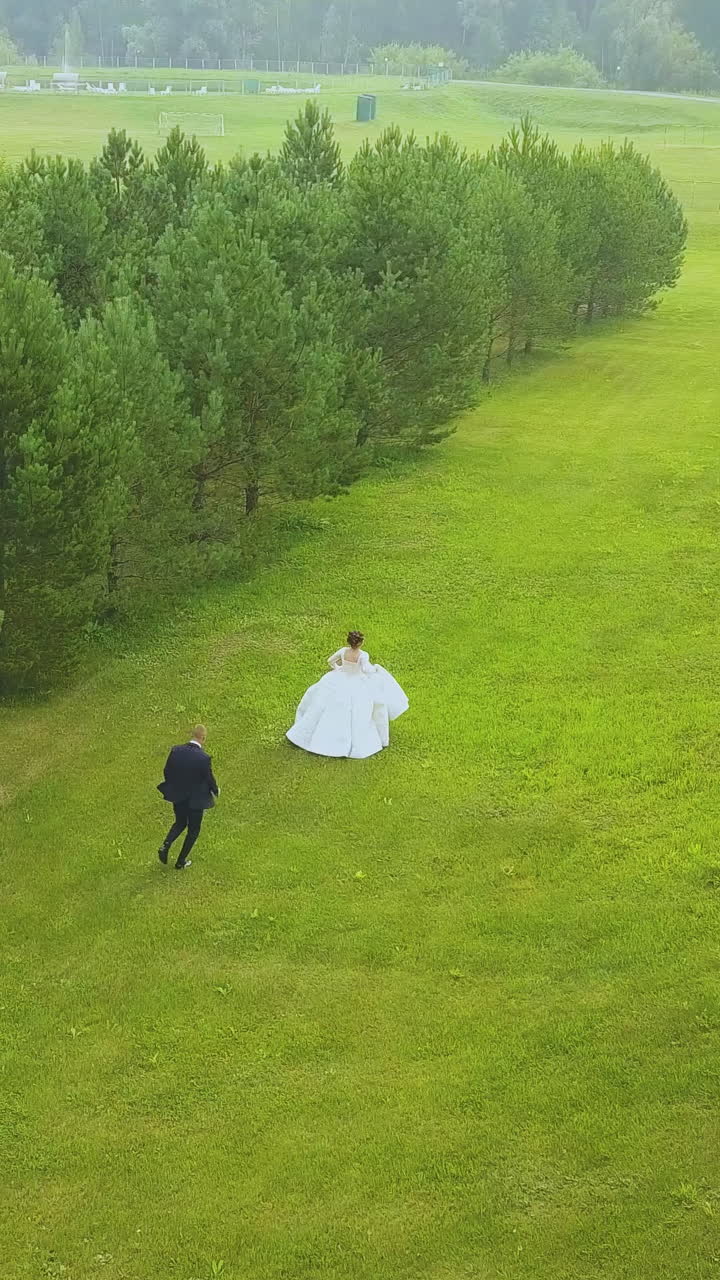 young groom runs following bride in long white dress on green field near wood on nice sunny day bird eye view