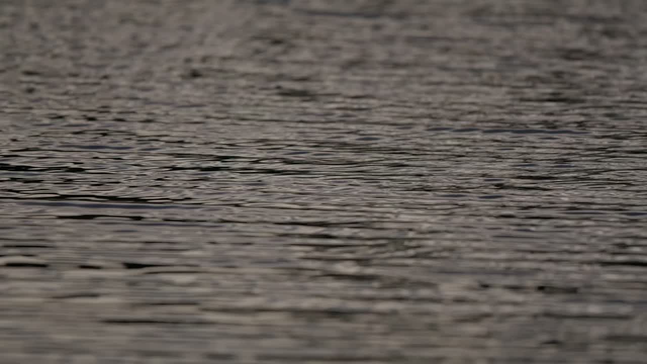 オーストラリアの湿地帯にある急流の川