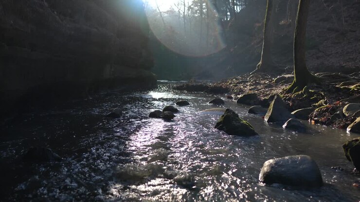 Kadrajda lens parlamasıyla basamaklardan aşağı çağlayan görkemli orman nehri.