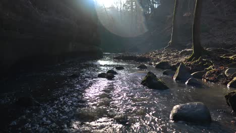 majestic forest river cascading down steps with lens flare in view