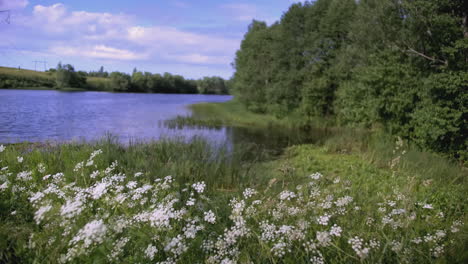 la escena serena de la orilla del lago