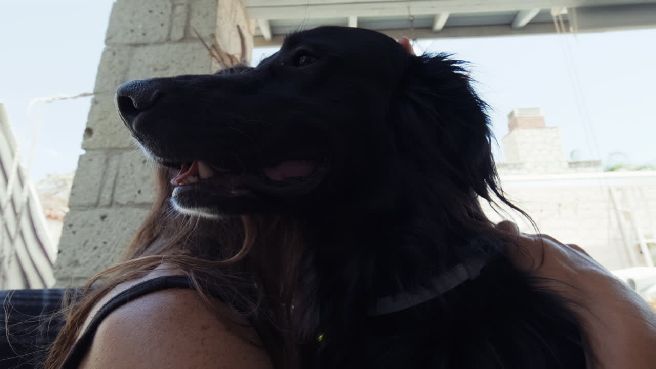 여자는 앉아있는 동안 애완견을 쓰다듬고 포옹하고 있습니다.