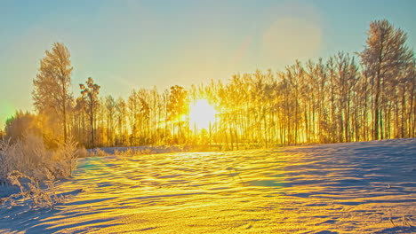 Time-lapse-shot-of-golden-sunrise-behind-leafless-trees-and-snowy-farm-fields-in-the-morning---Beautiful-nature-scene-during-winter