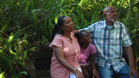 diverse grandparents and granddaughter sitting in garden, looking surprised at nature together