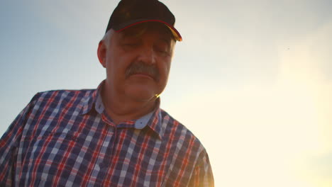 Senior-Adult-farmer-takes-his-hands-on-the-wheat-spikes-and-examines-them-while-studying-at-sunset-in-a-cap-in-slow-motion