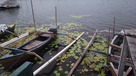 boats float, lotus lily water leaves beratan lake cloudy landscape bali bedugul indonesia row boat, artistic