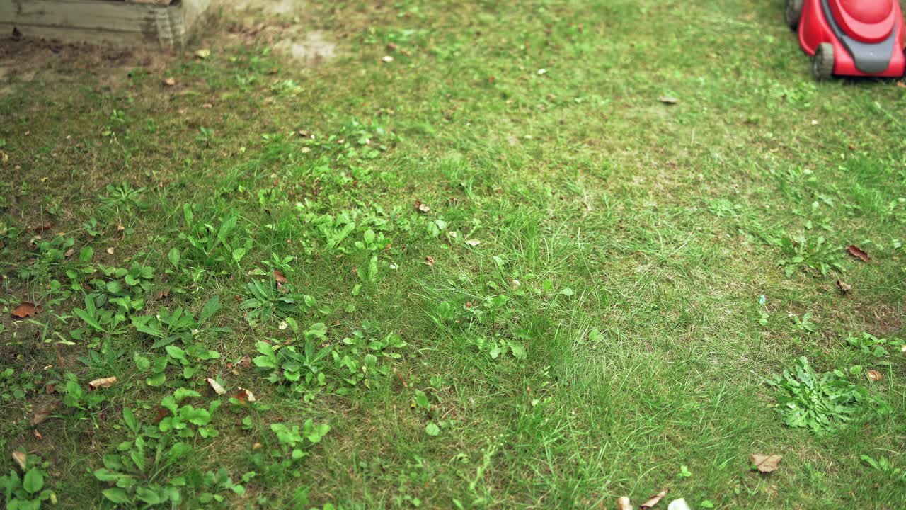 Process of cutting green grass by lawn mower. Homeowner working in the yard with electric lawn mower in summer day.