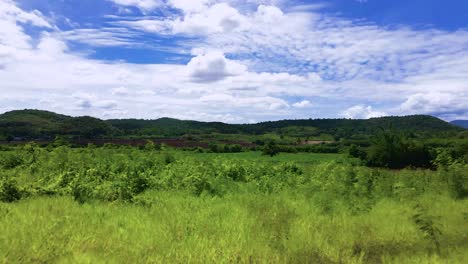 fast dolly shot over grassland and farmland in thailand on a summers day