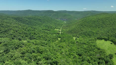 Impresionante-Y-Vibrante-Paisaje-Verde-En-Arkansas