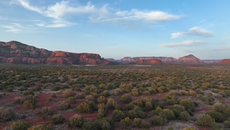 Overgrown-Bushes-In-Camping-Site-Near-Sedona-Red-Rocks-In-Arizona,-United-States