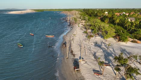 escena costera tropical con barcos y casas