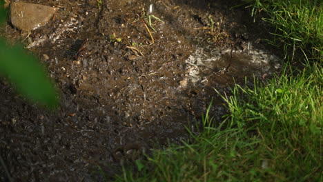 Water-drops-into-the-mud-during-a-rainy-day,-creating-a-puddle-in-the-mud